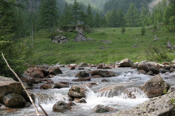 Valle Antrona e stambecchi equilibristi